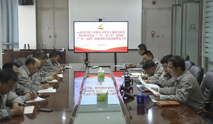 先锋化工党委专题研究安排省国资委党委“一企一策工程”建设和“一企一品牌”建设调研反响问题整改事情