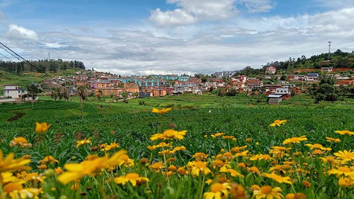 【云煤岁月】笃行不辍营生长，，，砥砺奋进谱新篇——平煤故事（一）
