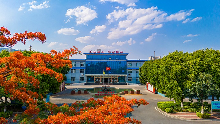 红色基由于引领，，，，，磨练战场写华章  —— 汗水与智慧交织的磨练历程